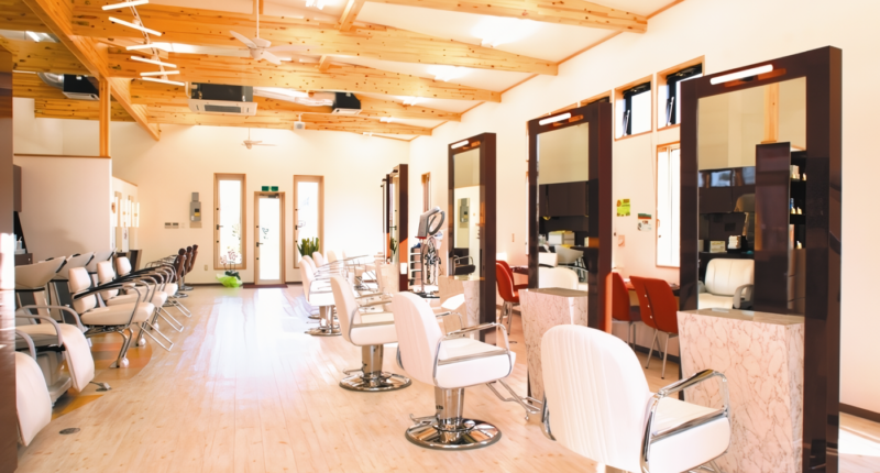 銀のはさみ フィーナ