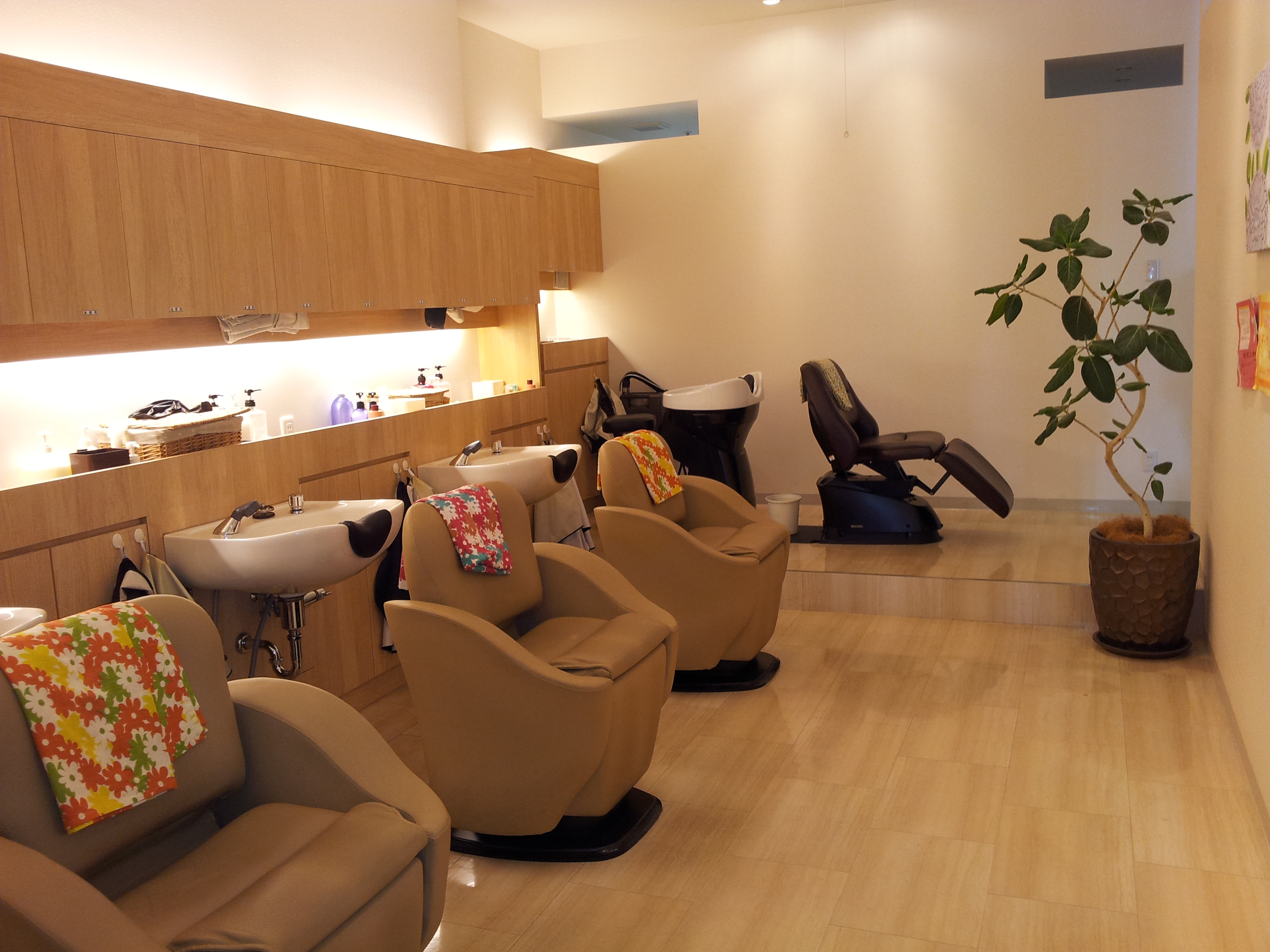 ぎんのはさみ アルマ